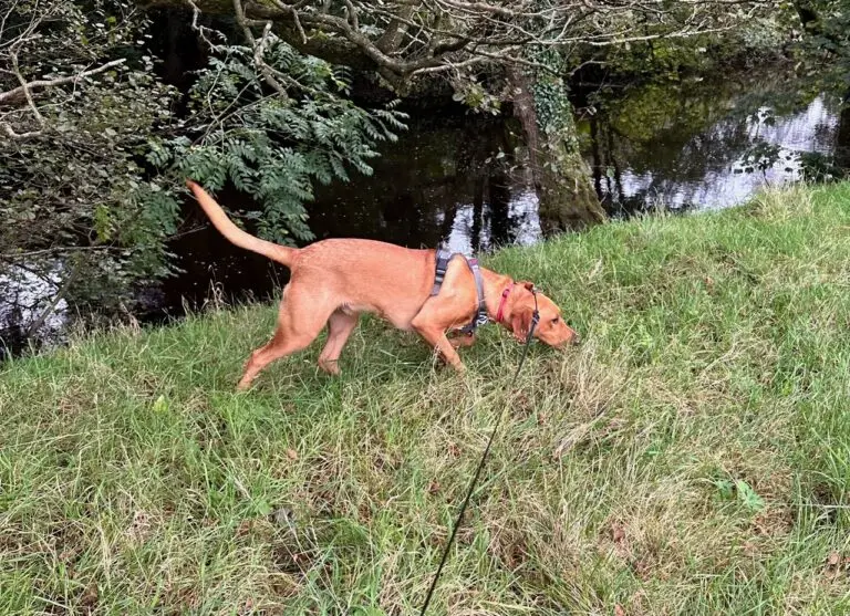  | Manchester Removals & Storage